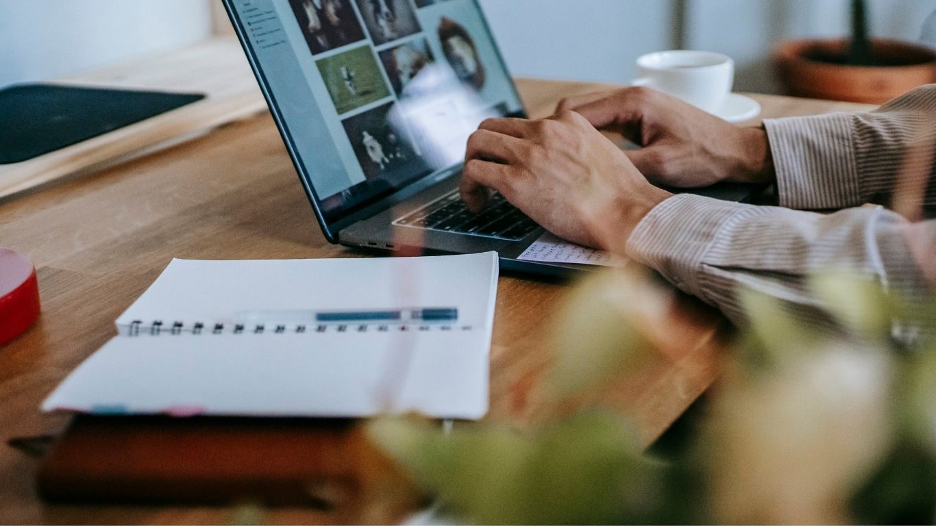 Freelancing And Online Business in 2026